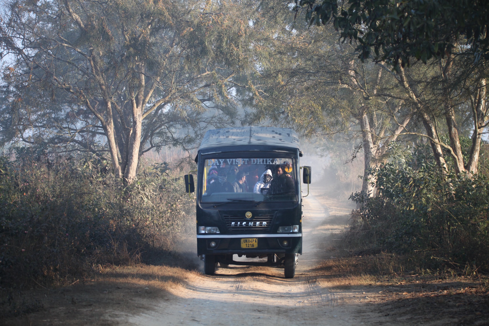 Safari jeep on a forest track